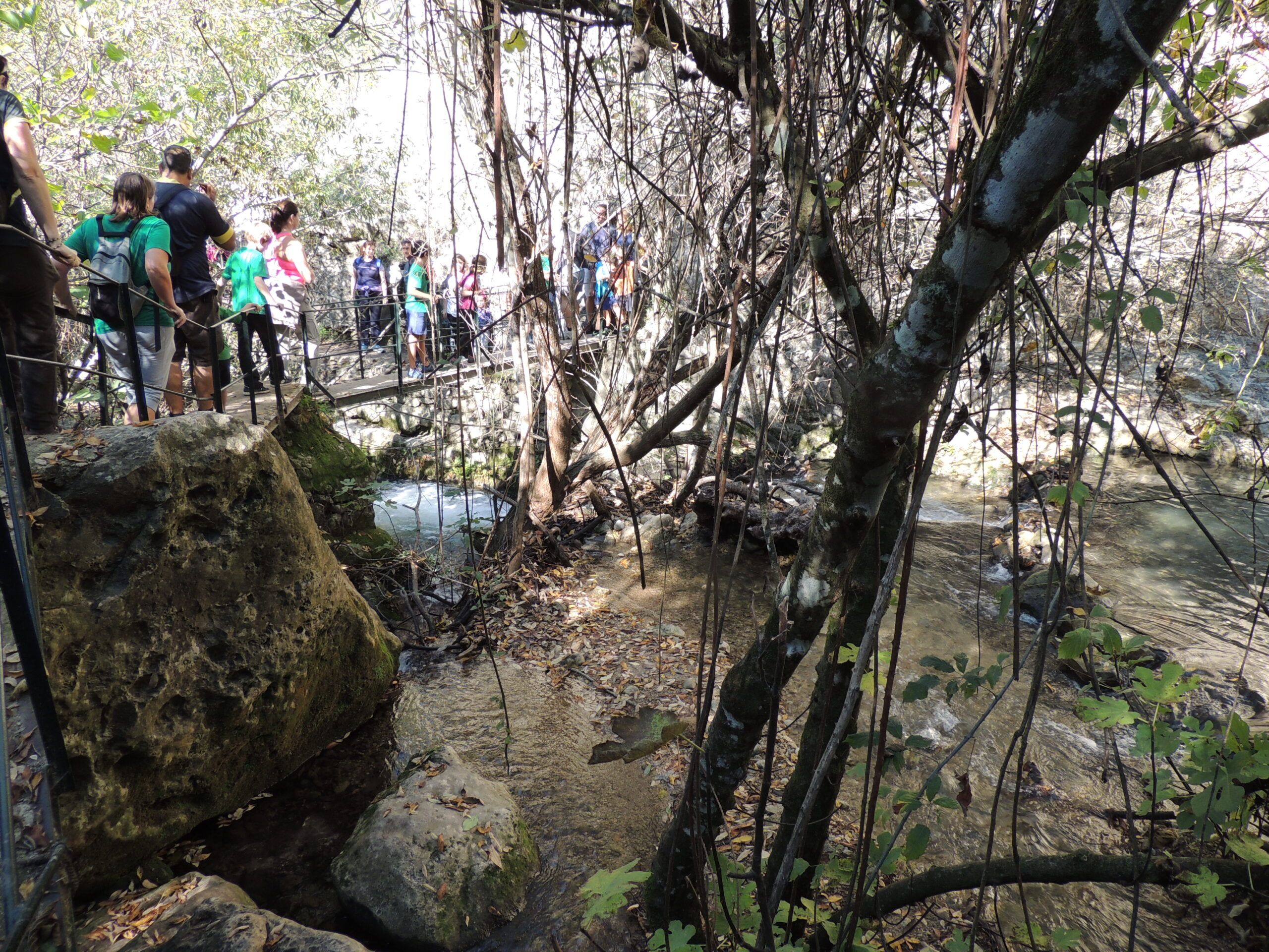 Crónica Excursión a El Bosque y Benamahoma (Cádiz)