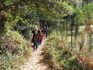 Crónica Excursión a El Bosque y Benamahoma (Cádiz)