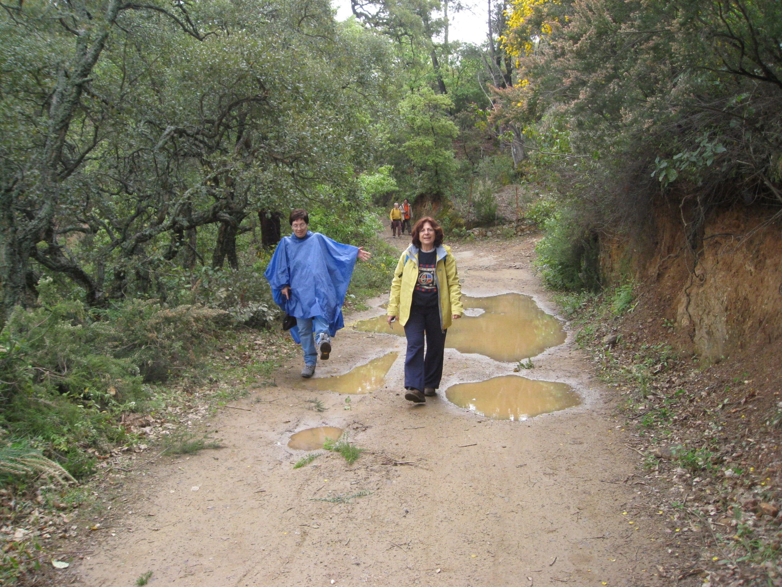 Excursión a Linares de la Sierra (Huelva)