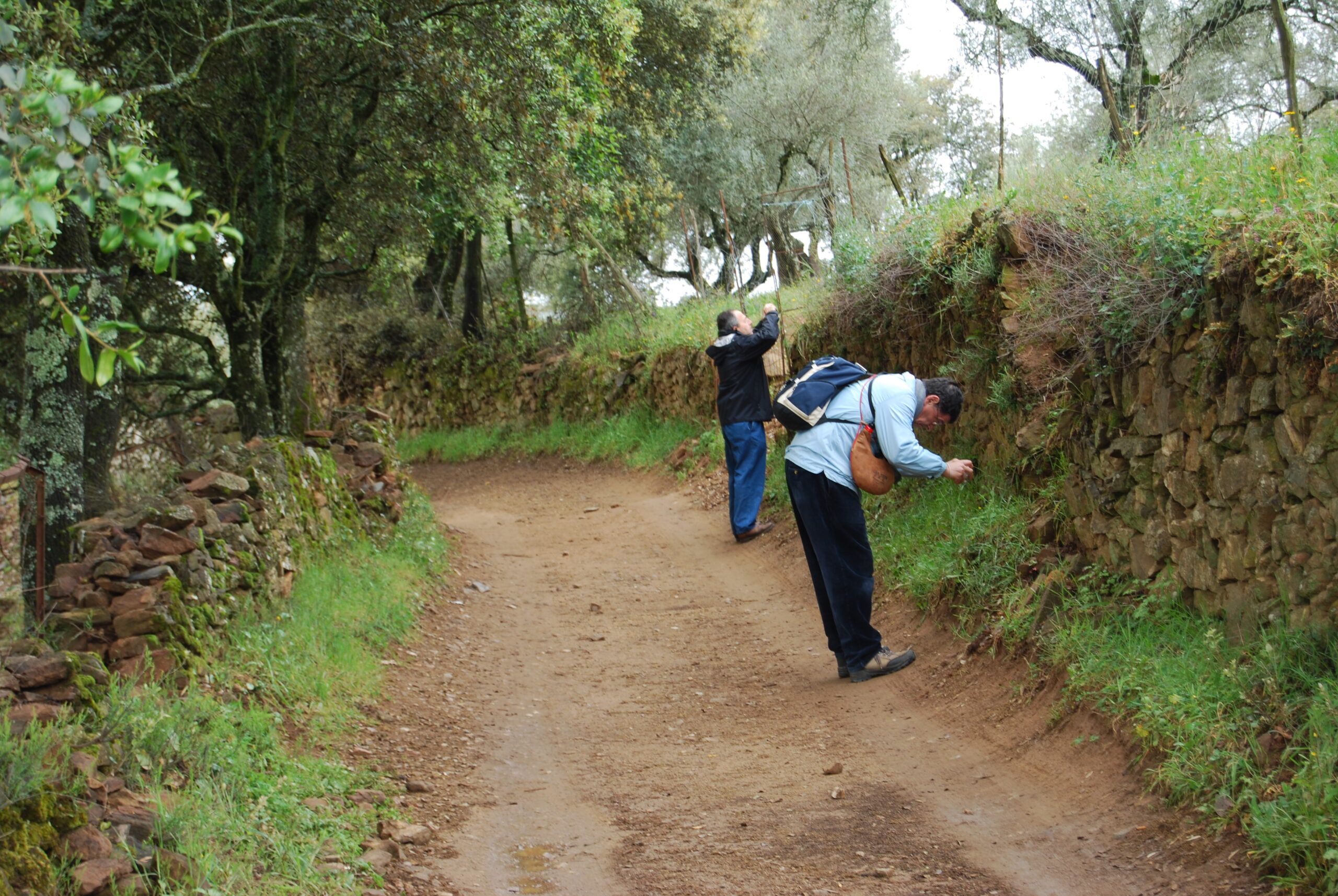 Excursión a Linares de la Sierra (Huelva)