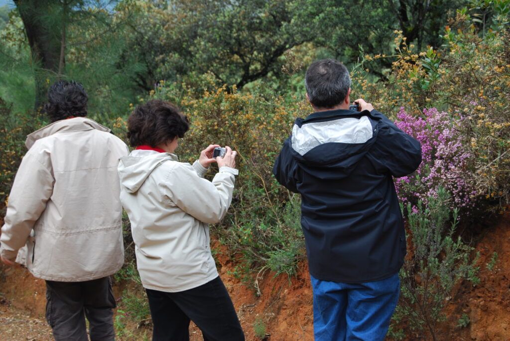 Excursión a Linares de la Sierra (Huelva)