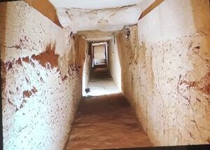 Visita arqueológica a Valencina