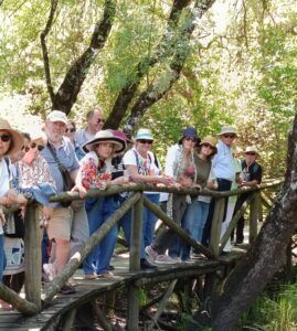 Visita guiada al Parque Nacional de Doñana (27/04/2025)