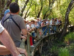 Visita guiada al Parque Nacional de Doñana (27/04/2025)