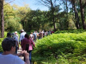 Visita guiada al Parque Nacional de Doñana (27/04/2025)