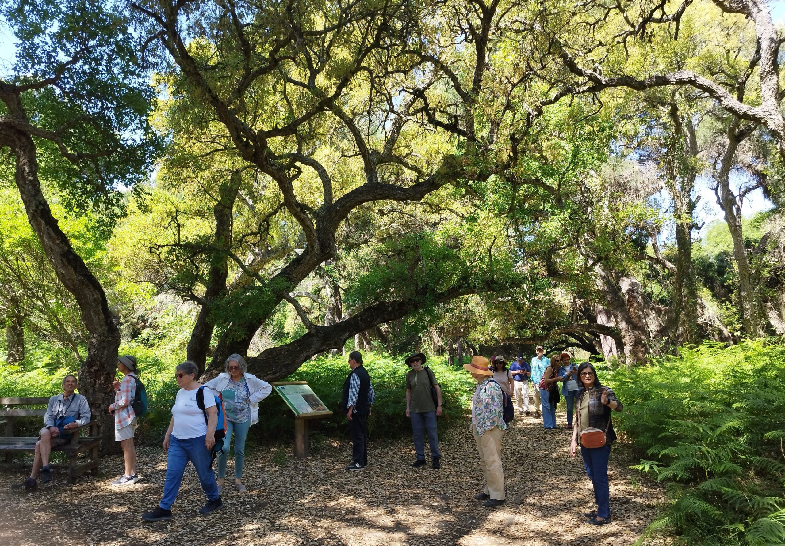 Visita guiada al Parque Nacional de Doñana (27/04/2025)