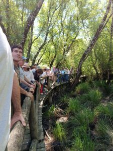 Visita guiada al Parque Nacional de Doñana (27/04/2025)
