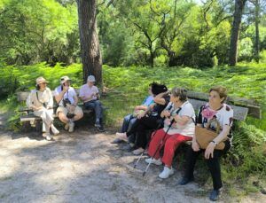 Visita guiada al Parque Nacional de Doñana (27/04/2025)