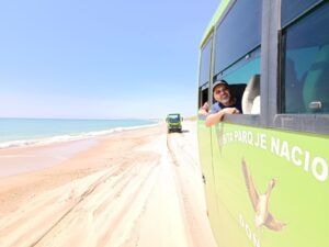 Visita guiada al Parque Nacional de Doñana (27/04/2025)