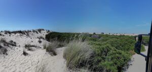 Visita guiada al Parque Nacional de Doñana (27/04/2025)