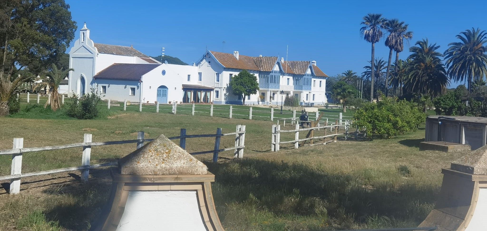 Visita guiada al Parque Nacional de Doñana (27/04/2025)