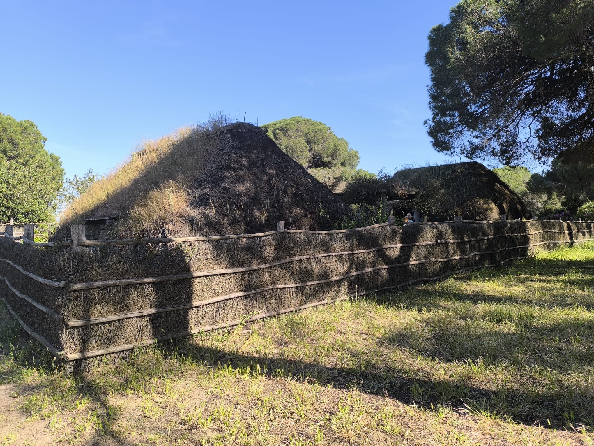 Visita guiada al Parque Nacional de Doñana (27/04/2025)